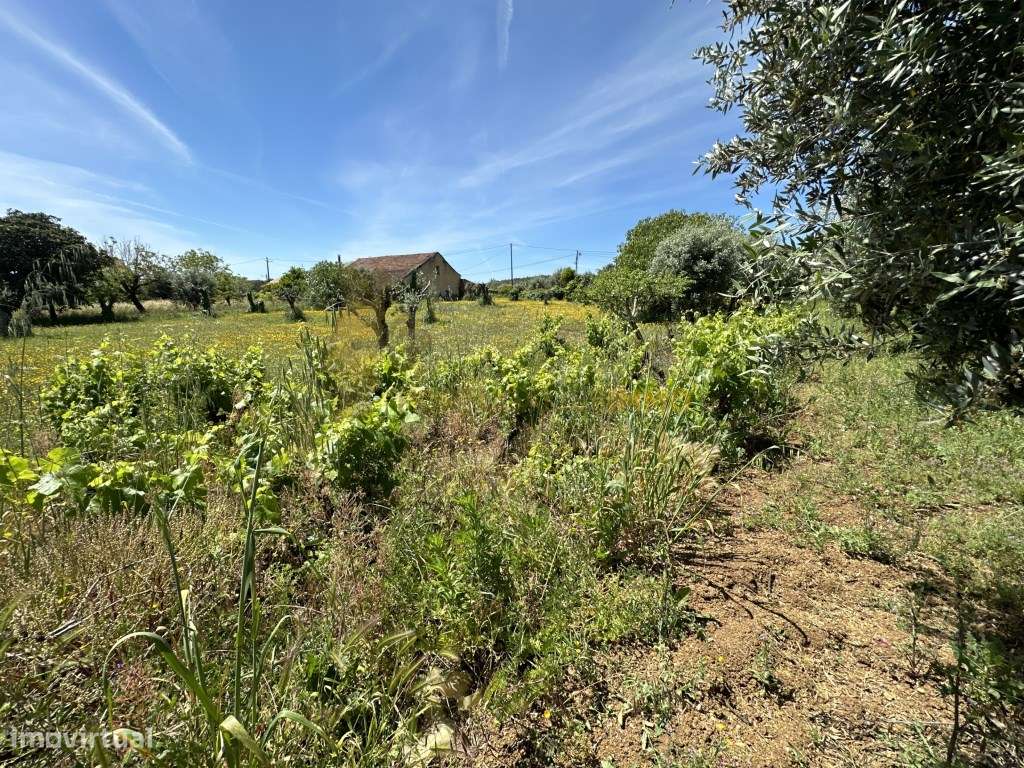 Para venda: Propriedade composta por duas habitações numa bonita al...-25