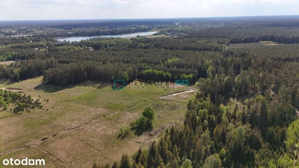 Zbuduj swój azyl! 5300 m² w lesie, blisko jezior. - Pełny obrazek: 4/8