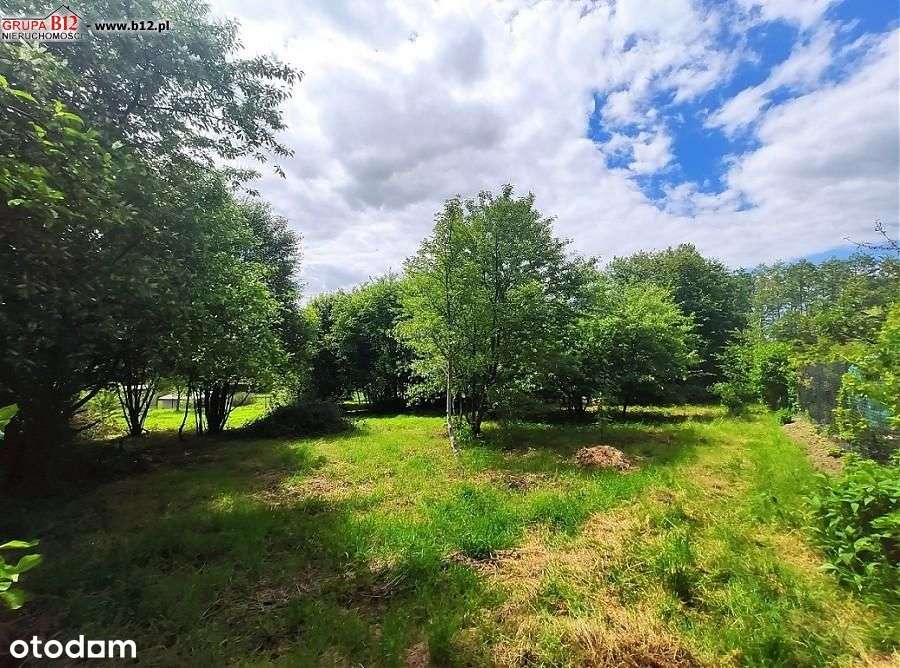 Działka, 2 800 m², Janowice - Pełny obrazek: 4/4