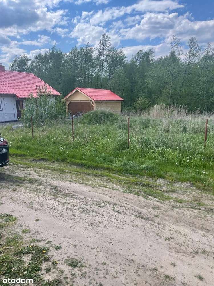 Powidz Kosewo działka rekreacyjna - Pełny obrazek: 4/10