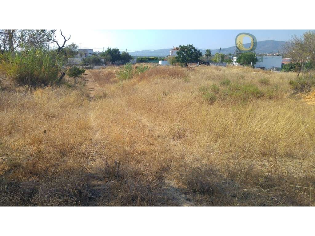 Terreno com 12000 m2, com água, eletricidade e esgotos - Grande imagem: 5/8