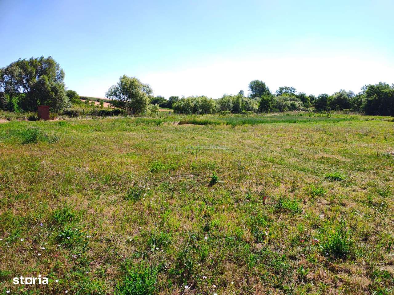 Teren 18.247 mp cu balta de pescuit – Misca, Comuna Chislaz, Bihor-8