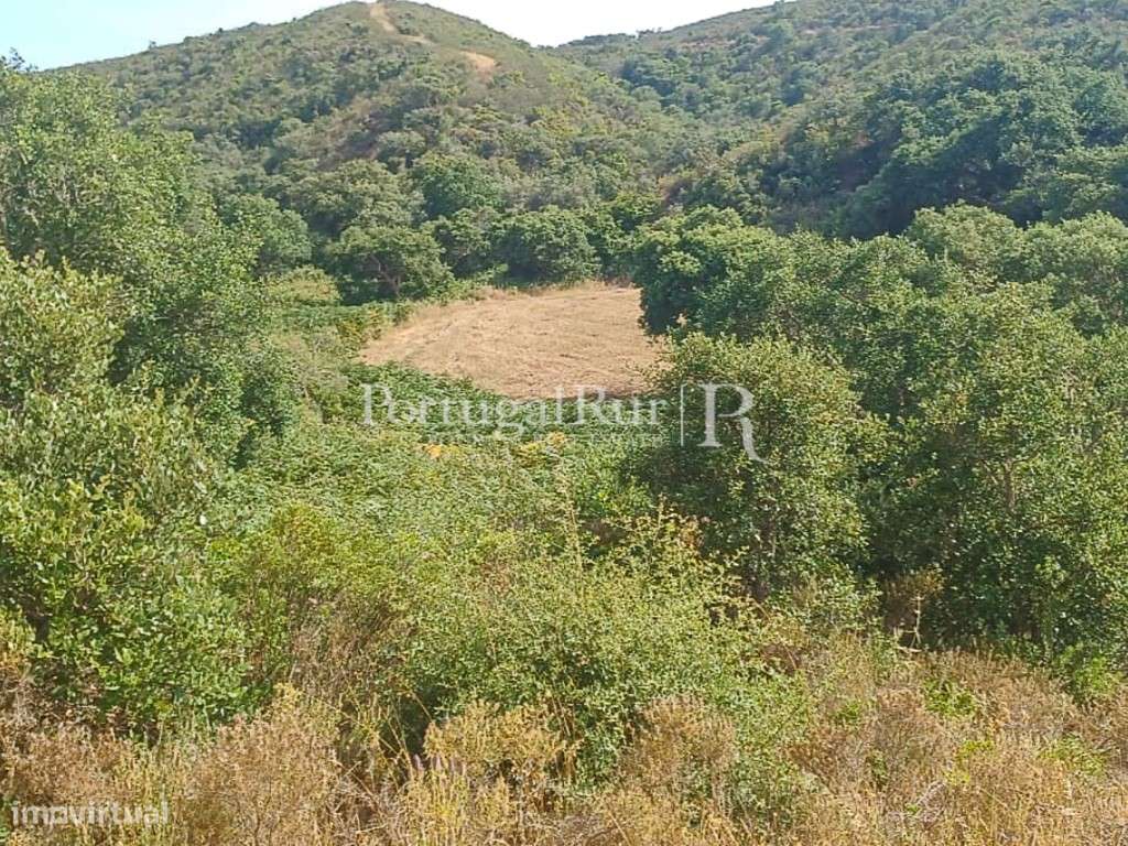 Paraíso a 3 Km das Praias, vistas de mar, Algarve - Grande imagem: 4/20