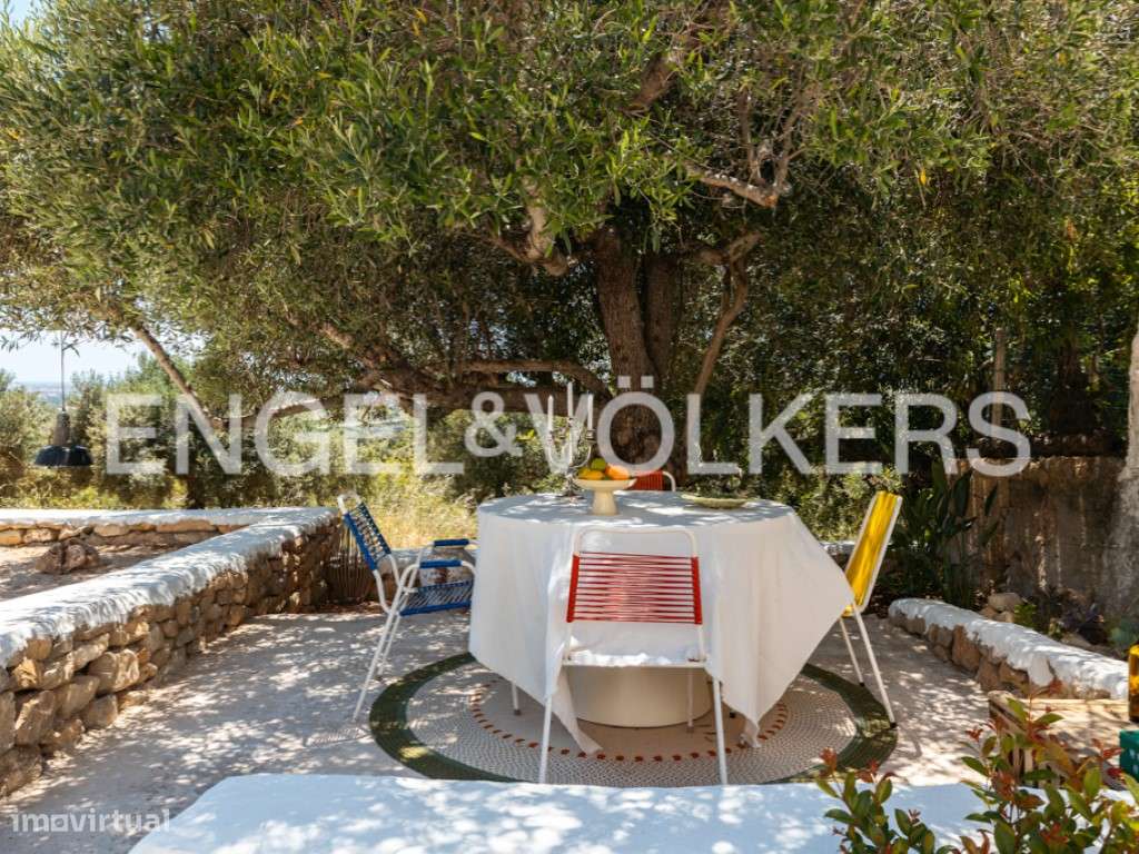 Olive Heritage-42