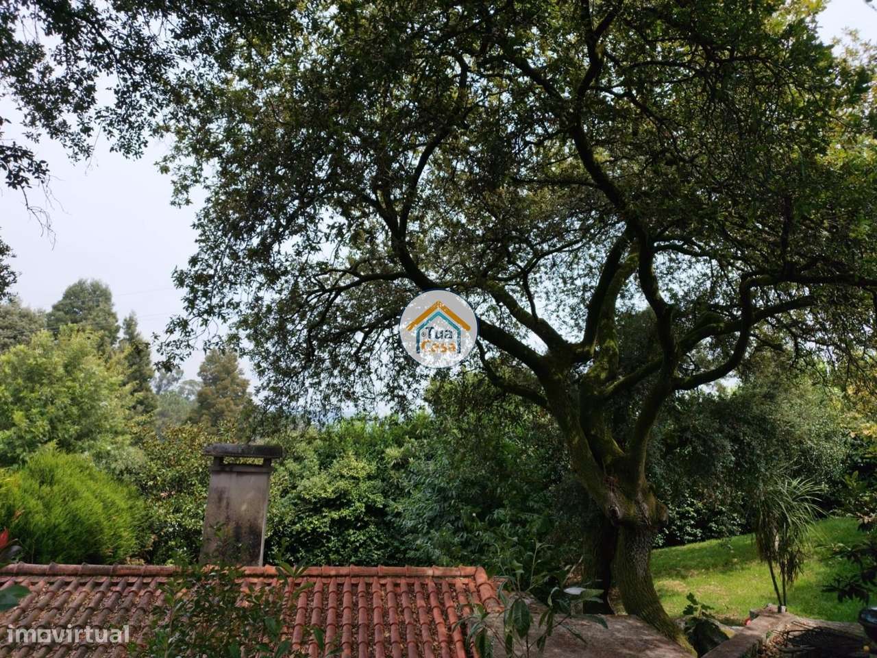 Venda de Moradia T5 em Minhotães, Barcelos - Grande imagem: 3/15