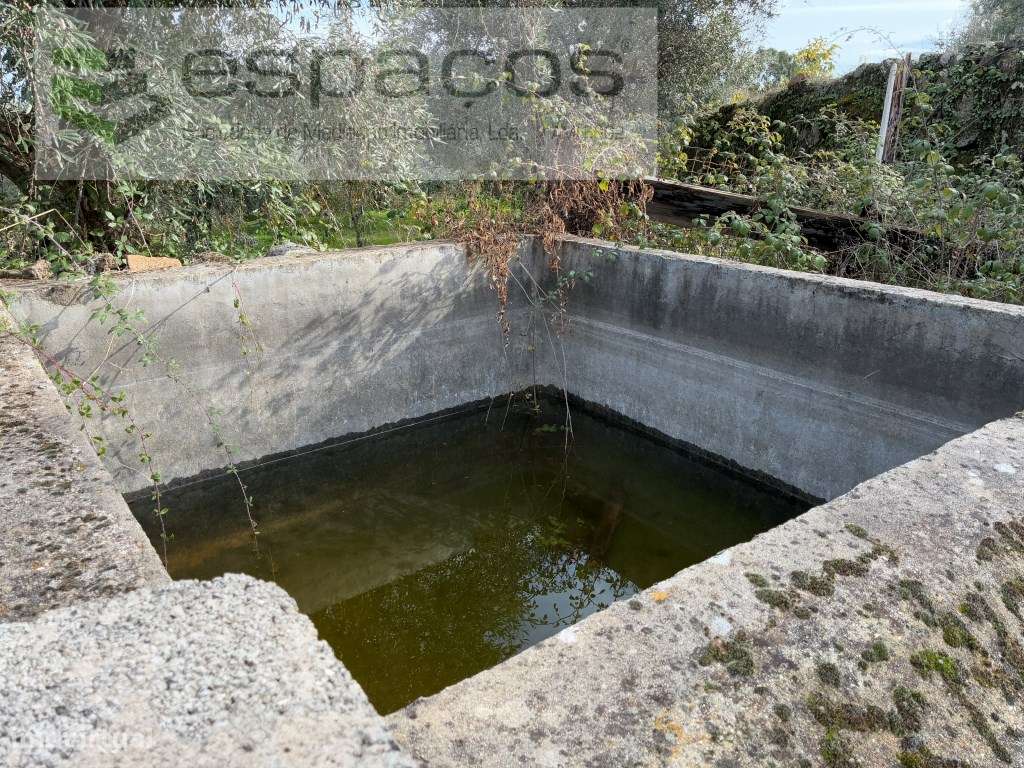 Quinta com casa de Habitação-31