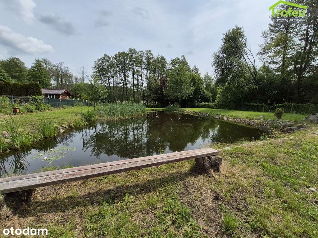 Działka ROD Dr. Jalkowskiego, Mniszek-1