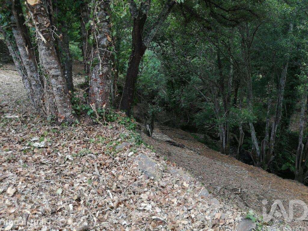 Terreno em Pedrógão Grande de 1800,00 m2 - Grande imagem: 5/25