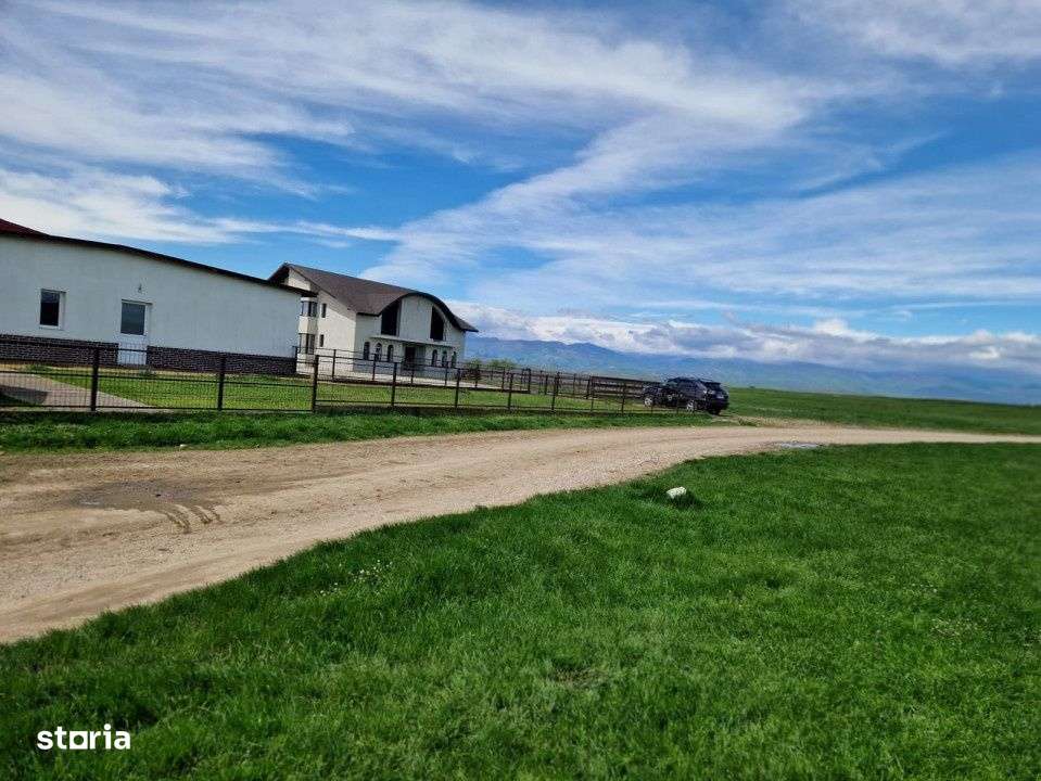 Vanzare teren extravilan 25.254 mp, situat in Preajba Mare - Imagine principală: 2/6