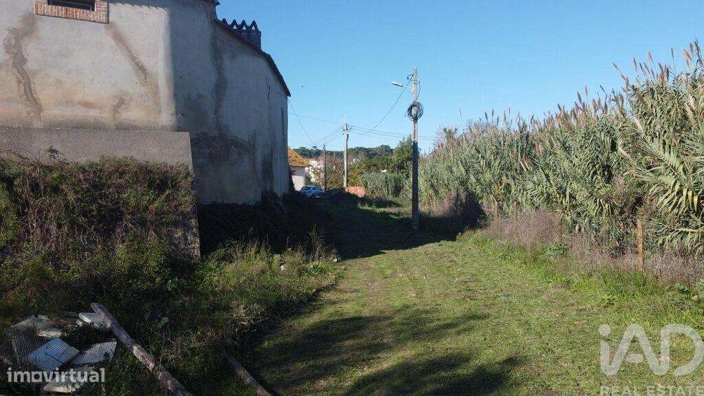 Terreno em São João da Ribeira e Ribeira de São João de 503,00 m2 - Grande imagem: 5/20