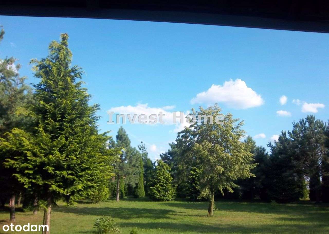 Dom 300m Wieniec z potencjałem ! - Pełny obrazek: 5/9