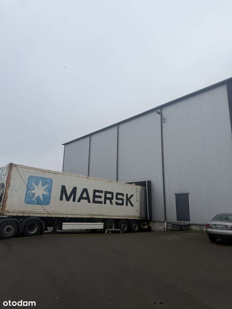 WYNAJEM MIEJSC PALETOWYCH - Pełny obrazek: 4/15