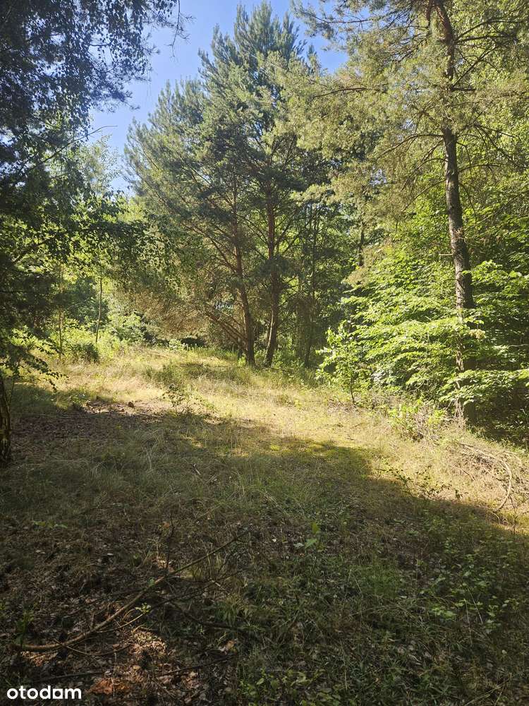 POLECAMY do sprzedaży działka budowlana w Chwałowicach-5