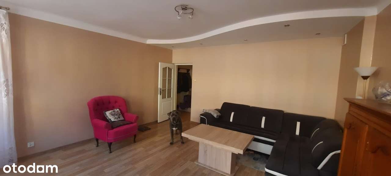 Przestronne 3-pokojowe mieszkanie w Centrum - Pełny obrazek: 5/10