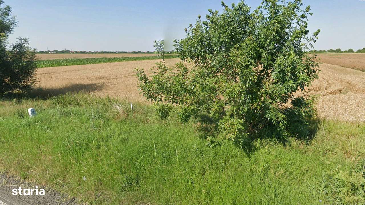 Teren Intravilan, 17500 mp, Sag, Timis, DN69-3