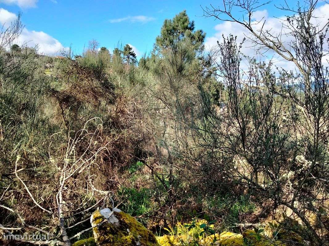 Terreno  para venda - Grande imagem: 5/9