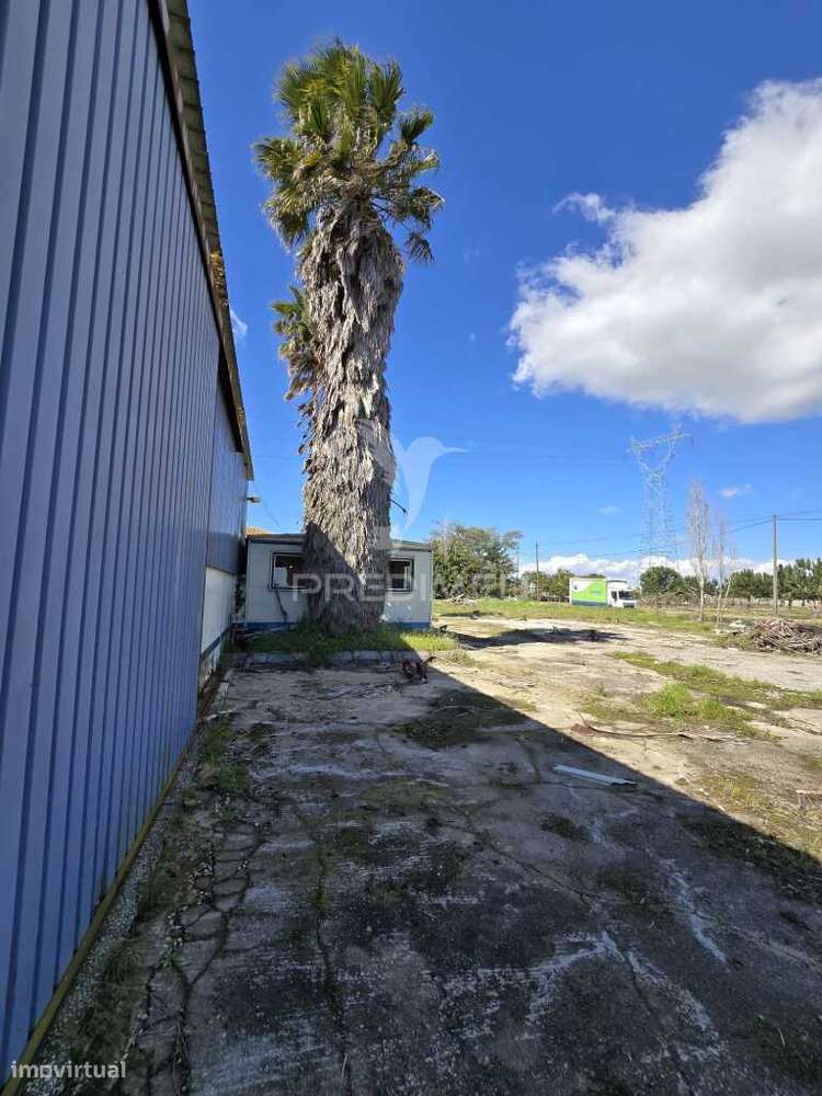 Armazém 150m² | Terreno 5000m² |  Próximo à Ponte Vasco da Gama! - Grande imagem: 4/25