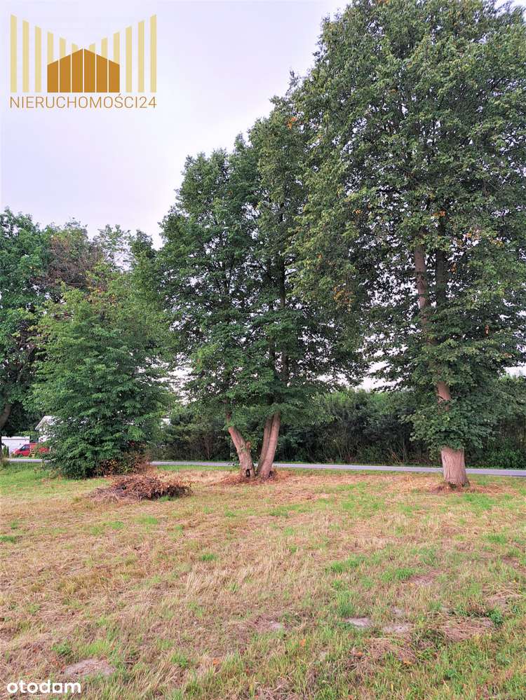 985177 - Pełny obrazek: 5/8