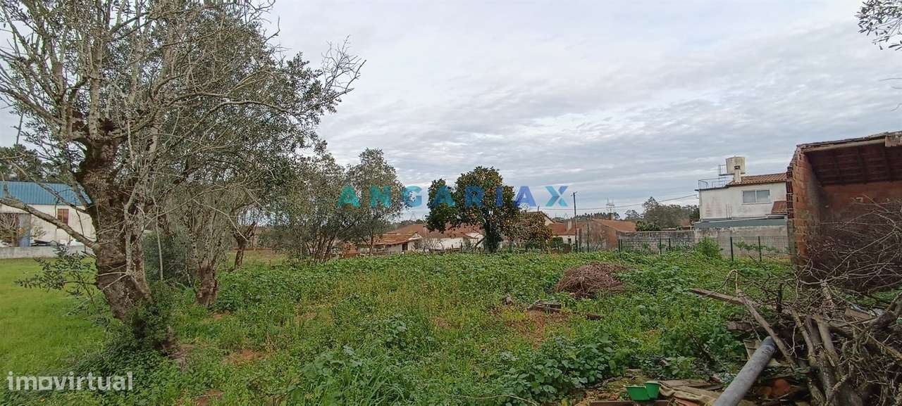 ANG1519 - Moradia T3 para Venda em Bajouca, Leiria - Grande imagem: 4/13