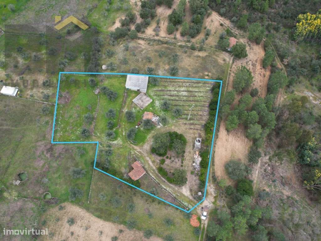 Quinta com 3.720m2 em Juncal do Campo! - Grande imagem: 2/37