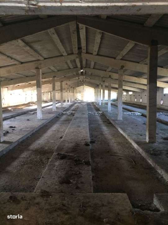 Teren intravilan 26395 mp (fosta Ferma Avicola), Zona Simnicu de Sus - Imagine principală: 3/3