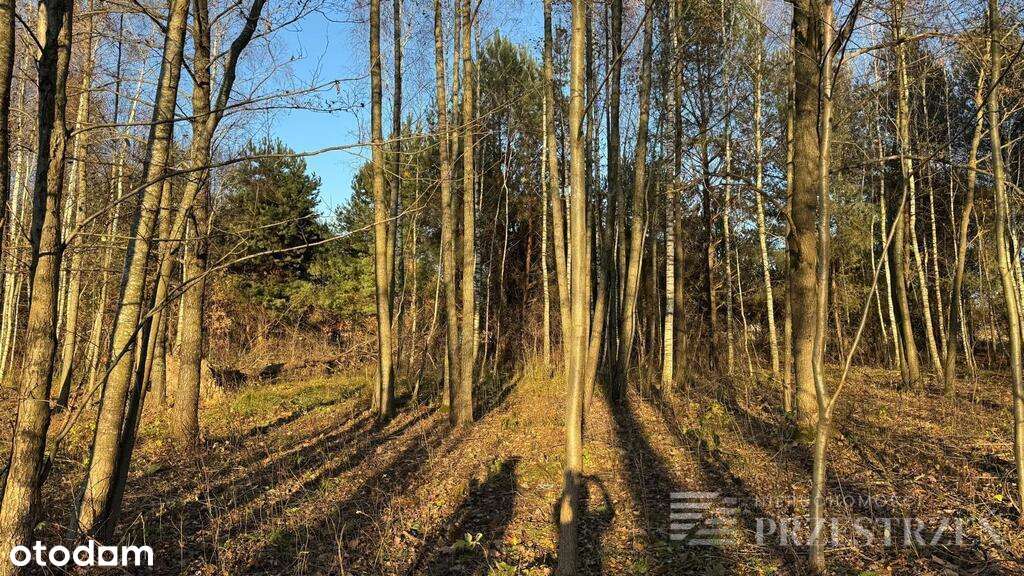 Zakochasz się w tym miejscu - Pełny obrazek: 4/7