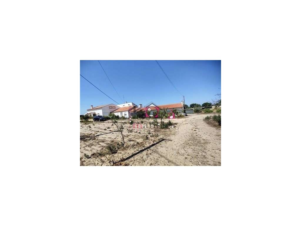 4 Moradias em Melides, exelente para investimento - Grândola-6