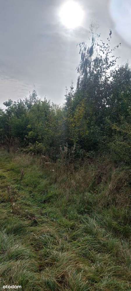 Malownicza działka rolna w pobliżu jeziora-3