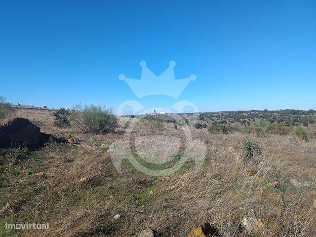 RUÍNA PARA RECUPERAR - CERROS REGUENGOS DE MONSARAZ-10