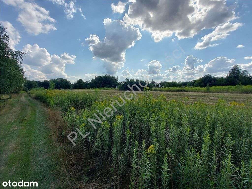 Wymiarowa Działka. Cisza I Spokój.-5
