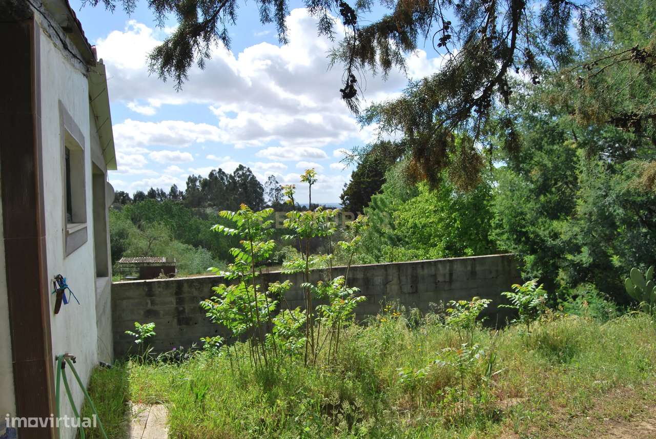 Terreno rústico 28200m2 em Vale do Junco, Chamusca, Golegã-11