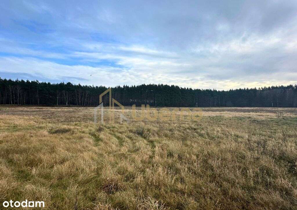 Działka rolna Gm.Goleniów na sprzedaż-0