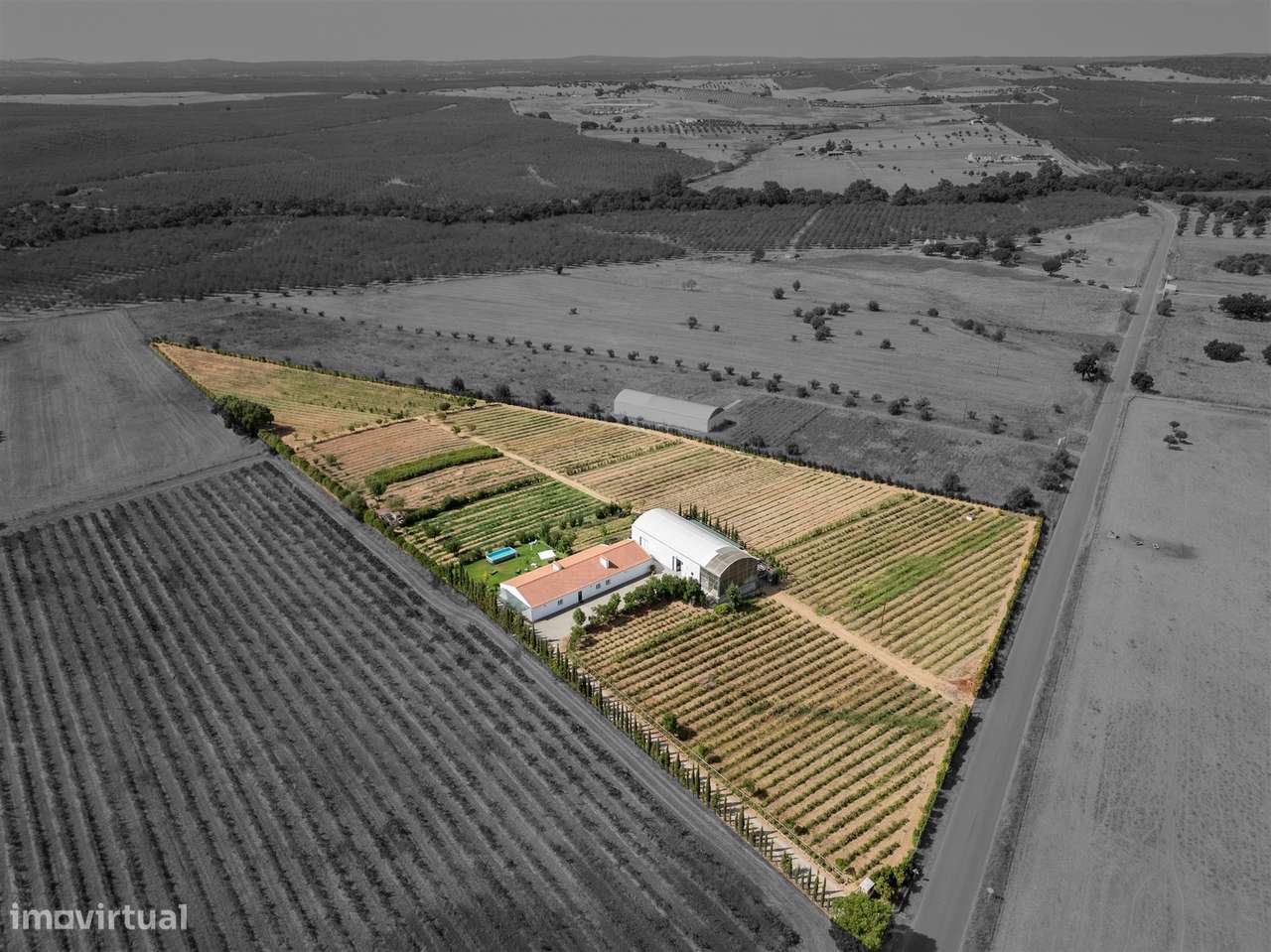 Quinta Biológica - Monte de Palma em Sao Manços com negócio.-7
