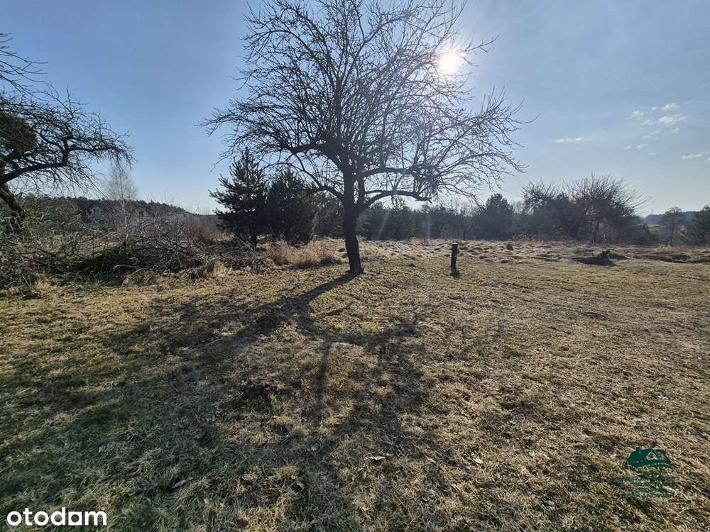 Działka 1563m2 z warunkami zabudowy Zgoda Aleksandrów Kujawski-1