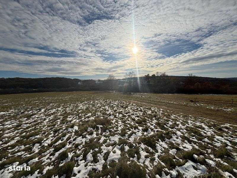Vanzare teren intravilan Salciua Noua - Imagine principală: 4/6