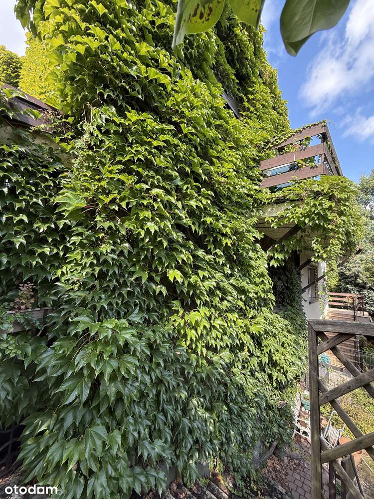 Przestronny dom | zielona okolica | ul. Kępowa-13