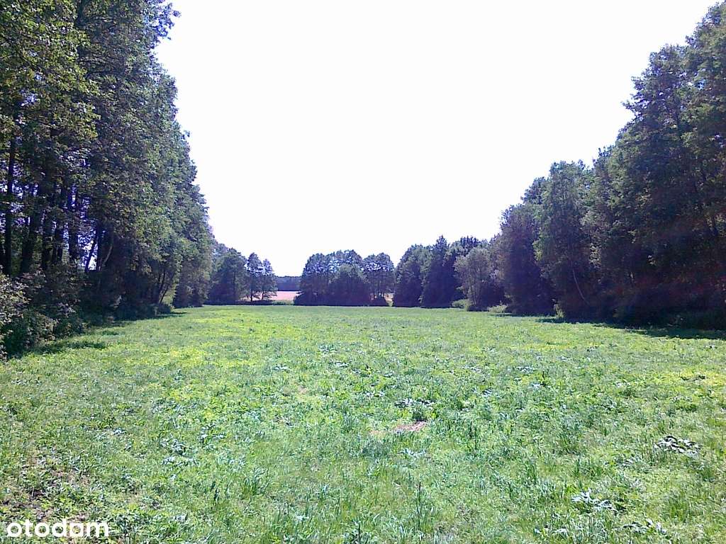 Kompleks Działek Budowlanych 25 WZ - Pełny obrazek: 5/11