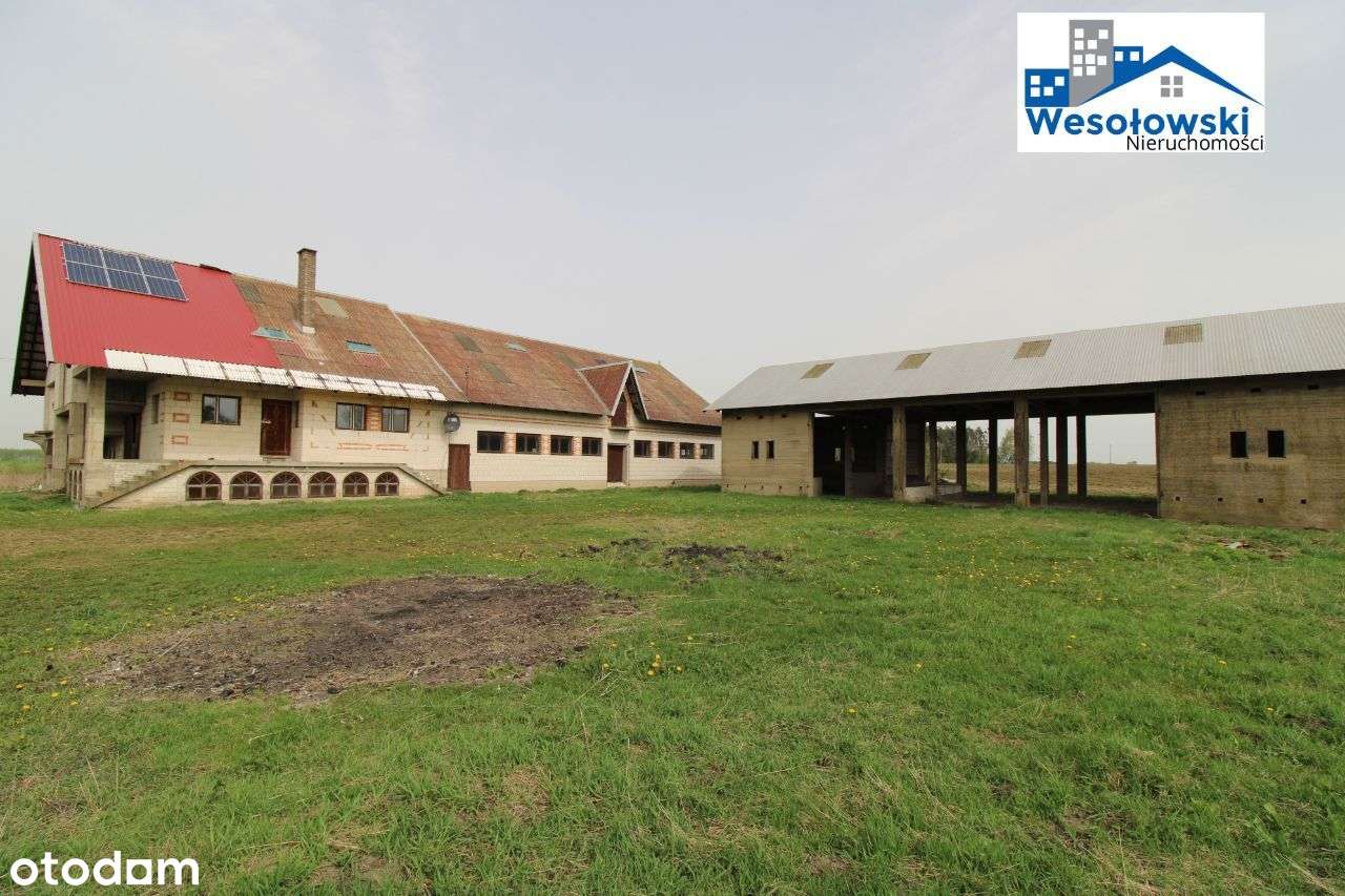 Solidne bud. magazynowo-gosp. ok750m2 +pow.mieszk. - Pełny obrazek: 5/20