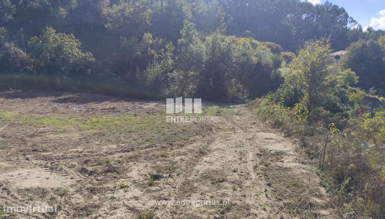 Venda Terreno, Tarouquela, Cinfães - Grande imagem: 5/23