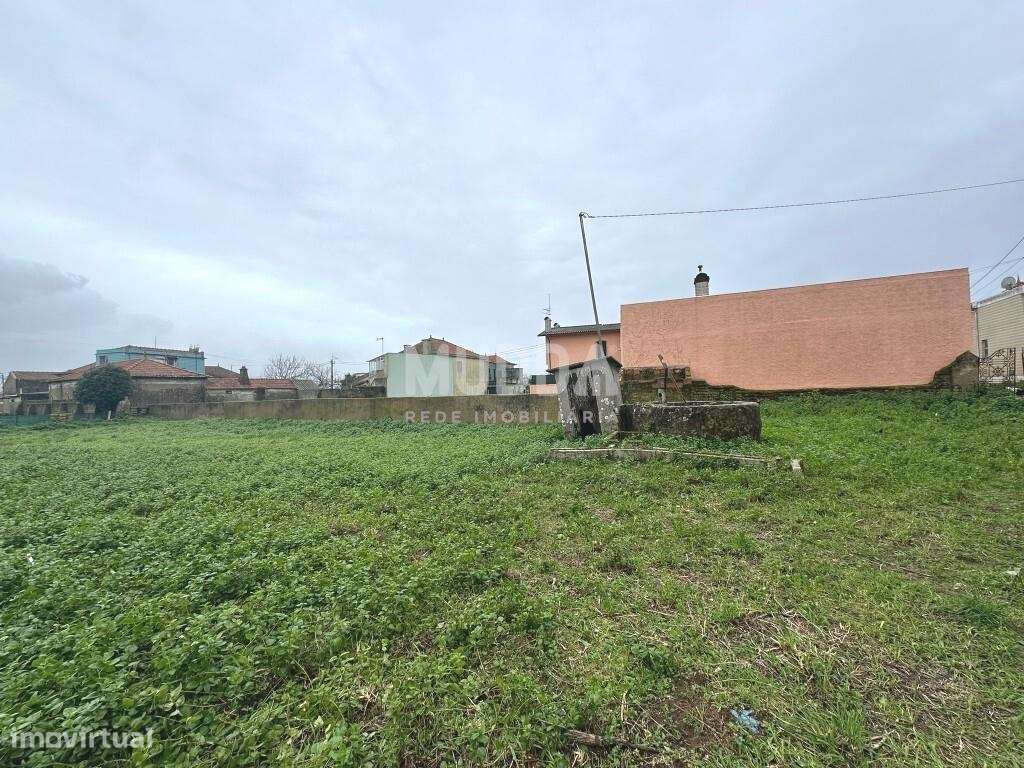 Terreno Rústico, com viabilidade de construção, Murtosa - Grande imagem: 4/8