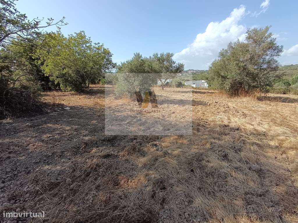 Terreno com armazém. - Grande imagem: 4/12