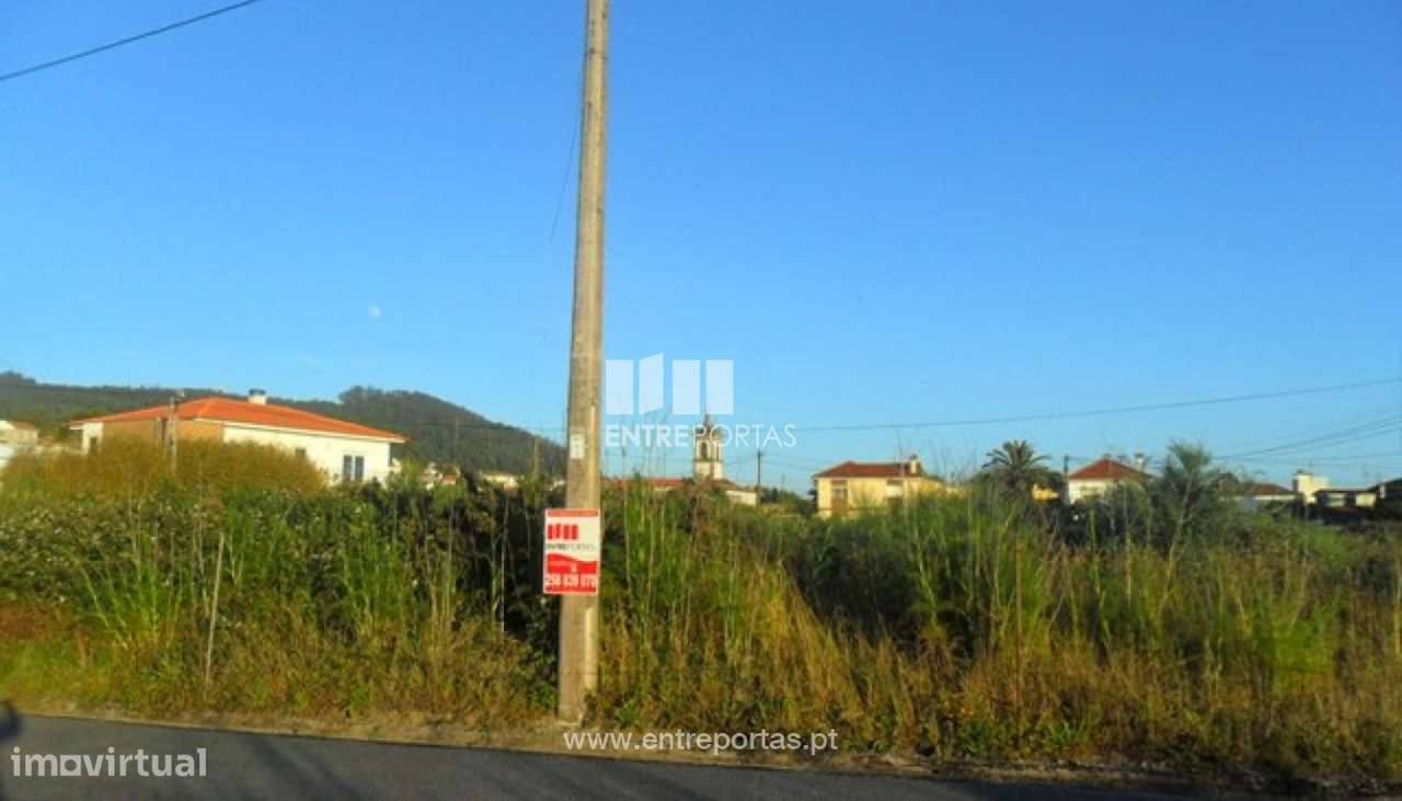 Terreno - Areosa - Grande imagem: 2/30