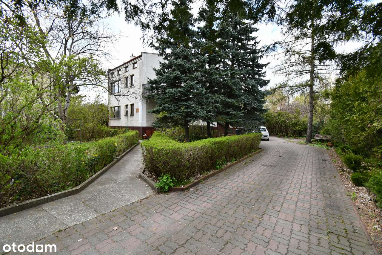 Przestronny dom z garażem i ogrodem w mieście - Pełny obrazek: 3/20