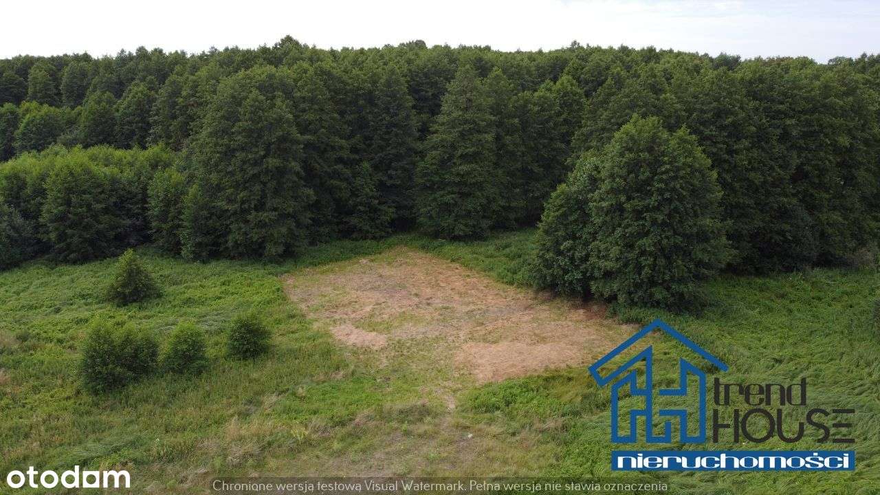 Piękna działka budowlana w okolicy lasu | Zawada - Pełny obrazek: 4/8