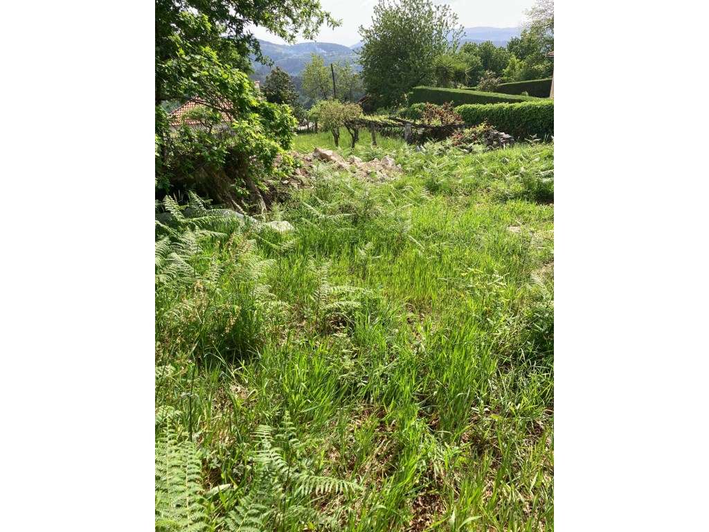 Terreno com PIP e 4.040 m² | Formariz, Paredes de Coura-6