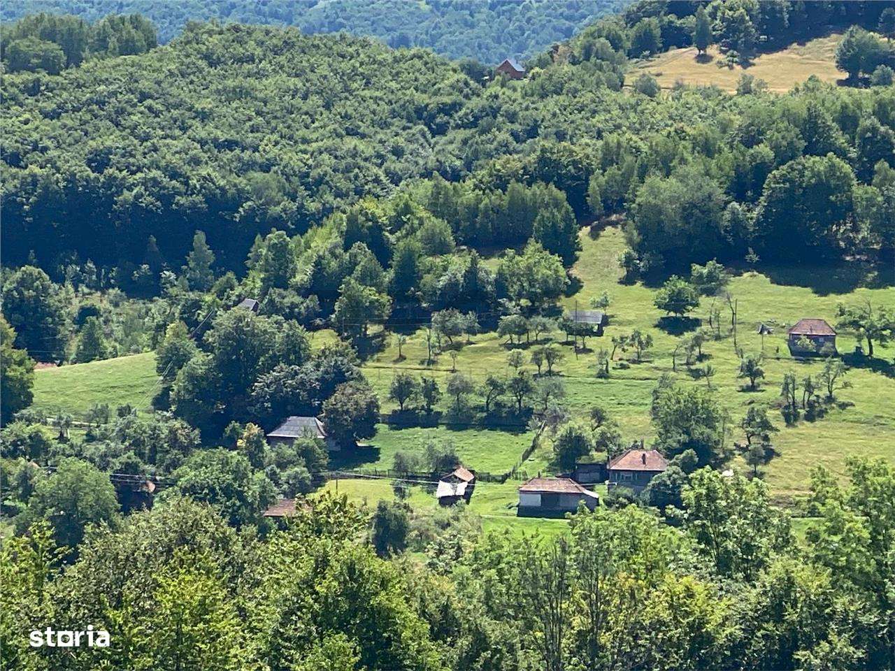 RECO Casa cu teren in Damis zona Valea Bratcutei - Imagine principală: 1/8