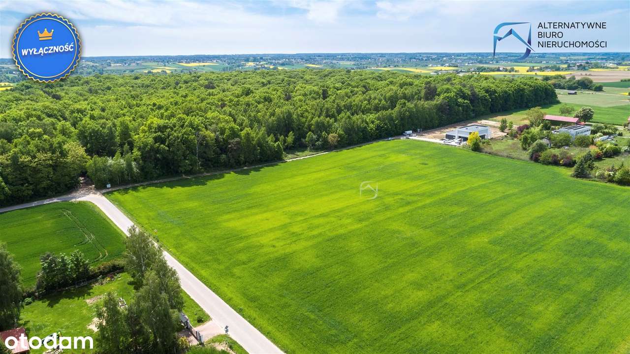 Działki pod lasem w Smugach - Pełny obrazek: 5/10