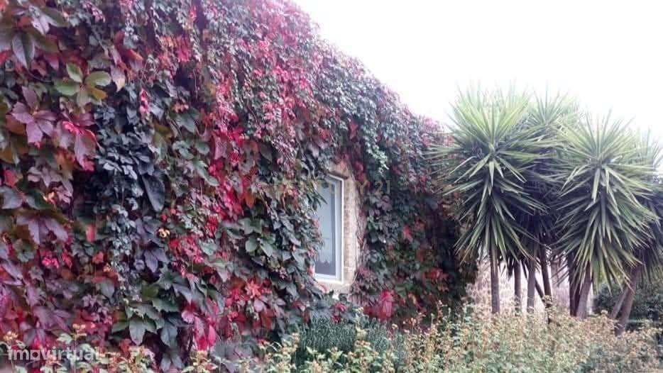 Quinta do Ervedal-15,7ha de História e Beleza Natural em Castelo Novo - Grande imagem: 2/60