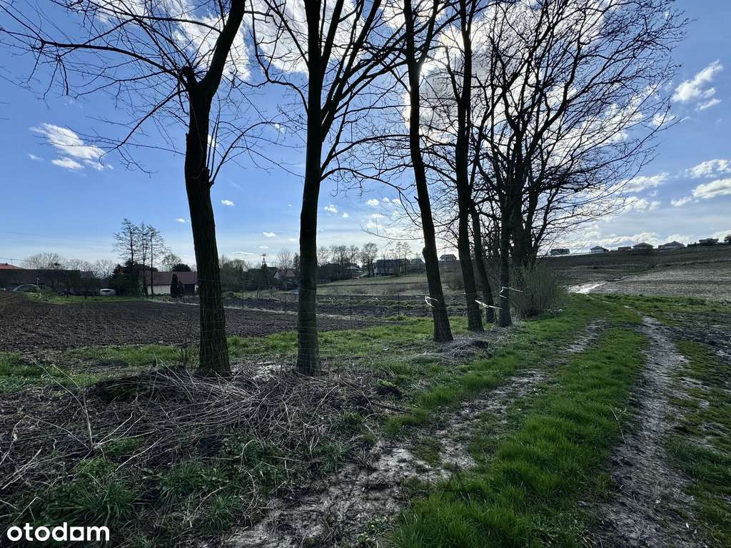 Atrakcyjna działka budowlana | 10a | m. Głęboka-2