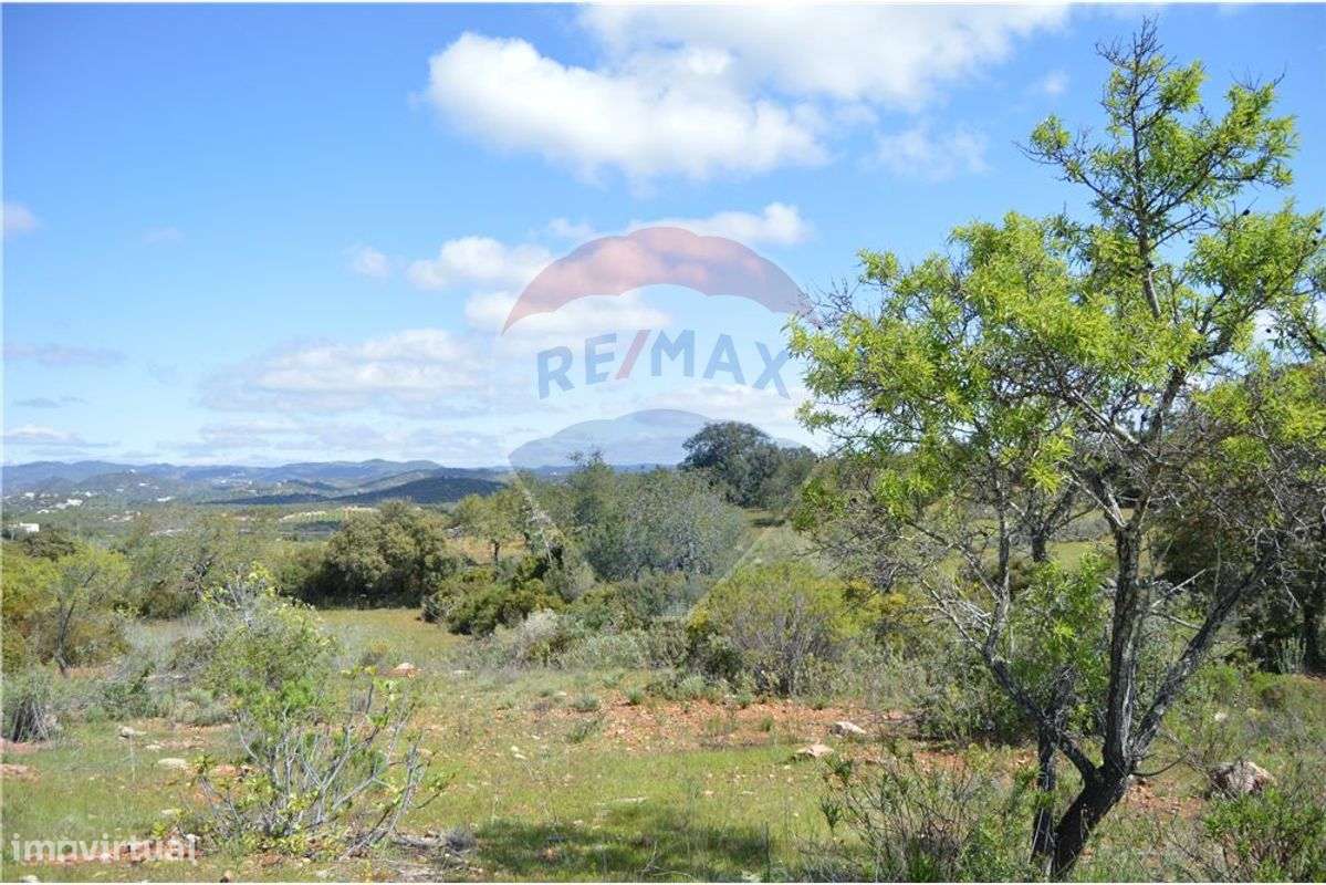 Terreno  para venda - Grande imagem: 5/20